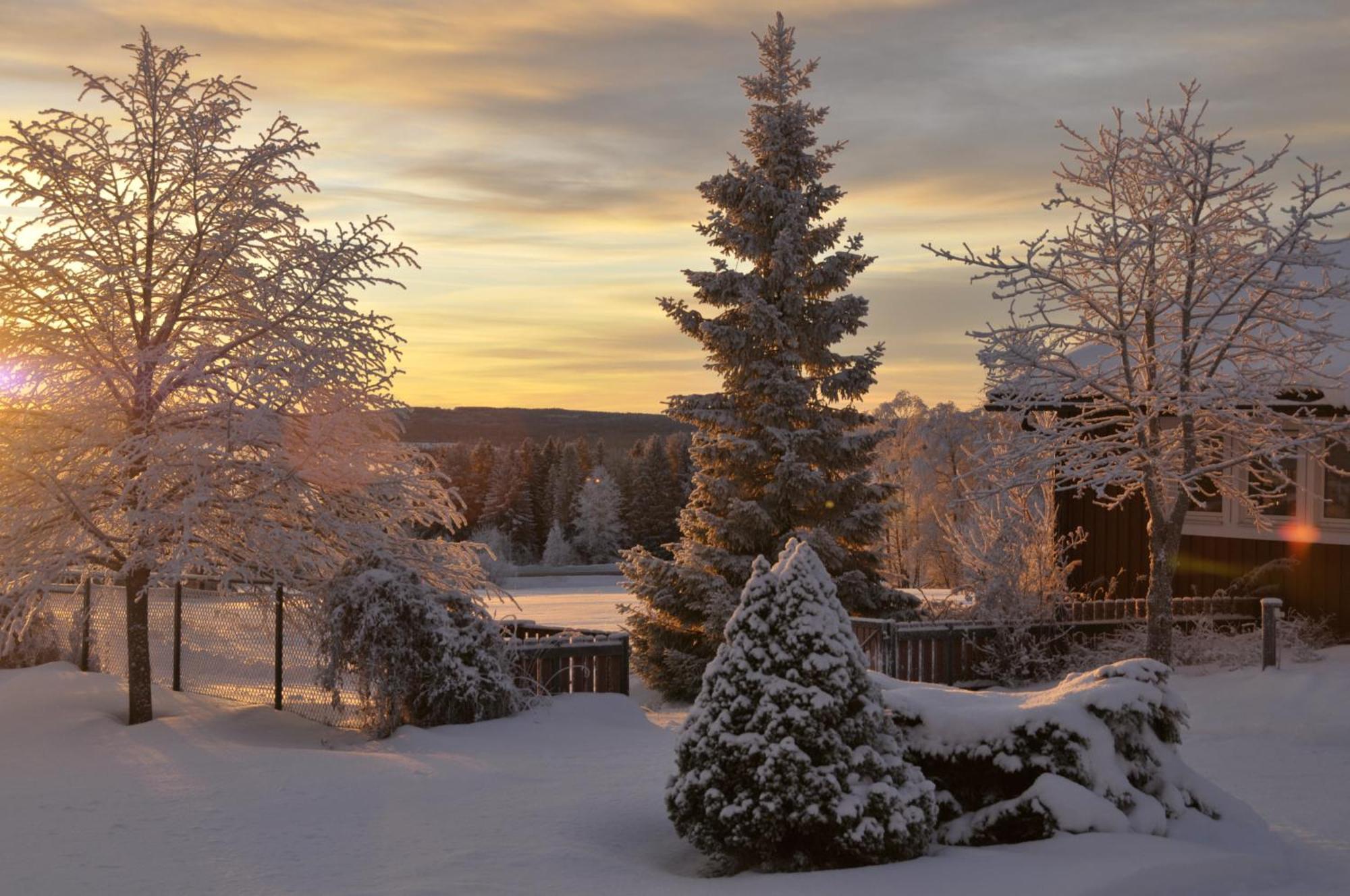 Langaenge Logi Bed & Breakfast Tandsbyn Eksteriør bilde