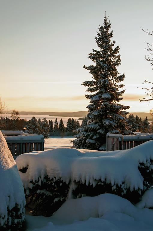 Langaenge Logi Bed & Breakfast Tandsbyn Eksteriør bilde