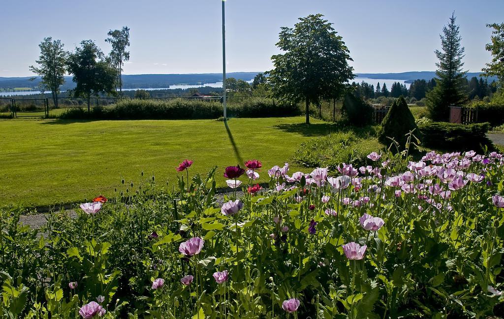 Langaenge Logi Bed & Breakfast Tandsbyn Eksteriør bilde